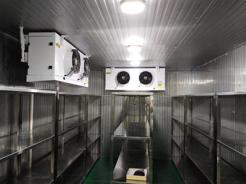 智能化安裝工程 構(gòu)建未來高效安全的工作與生活空間